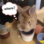 lenpestia 8 PCS Bunny Toys Stacking Cups Bunny Cups Stackable Guinea Pig Stacking Cups Colorful Reusable Rabbit Toys for Rabbit Guinea Pig Hiding Food Playing