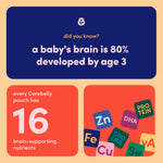 Cerebelly Organic Baby Food Pouches, Butternut Squash Chicken Bone Broth with Thyme, 16 Nutrients, Protein & Healthy Fats, 4oz, 6 Pack
