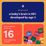 Cerebelly Organic Baby Food Pouches, Carrot Chickpea Purees, 16 Nutrients, No Added Sugar, Fiber & Non-GMO, 4oz, 6 Pack