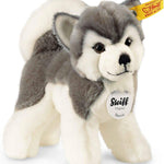 Steiff Bernie Husky Plush, Grey/White
