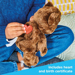 Casdon Build-A-Bear Workshop Furtastic Toy Bear & Outfit Assortment | Assorted Cuddly Toy Bears and Outfits for Children Ages 3+ | Ready to Stuff! | Filling, Heart, and Certificate Also Included