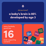 Cerebelly Organic Baby Food Pouches, Sweet Potato Mango Purees, 16 Nutrients, No Added Sugar, Fiber & Non-GMO, 4oz, 6 Pack