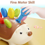 iPlay, iLearn Fine Motor Toys for Toddlers 1-3, Baby Hedgehog Montessorri Learning Set, Educational Counting Sorter Toy, Development Infant Gifts 9 12 18 Month 1 2 3 Year Old Boys Girls Kids Babies