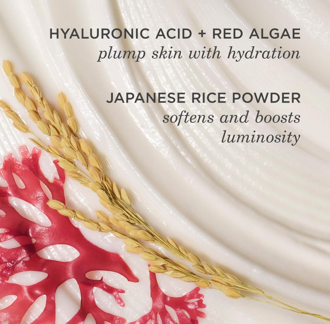 TATCHA The Rice Wash | Soft Cream Facial - Maternity & parenting ...
