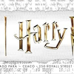 Ceaco - Thomas Kinkade - Harry Potter - Hogwart's Castle - 1500 Piece Jigsaw Puzzle