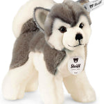 Plush toy dog with Steiff tag on a white background