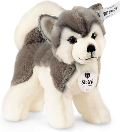 Plush toy dog with Steiff tag on a white background