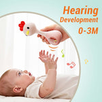 iPlay, iLearn Baby Shaker Rattle Toy, Babies Teething Sensory Toys 3-6-12 Month, Infant Development Tummy Time Animal Rattles Set, Newborn First Birthday Gift 4 5 7 8 9 10 Month Old Toddlers Boy Girl