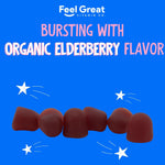USDA Organic Elderberry Gummies for Kids | Kids Immune Support - Kids Elderberry Gummies with Zinc and Vitamin C - Gluten Free & Vegan Children's Vitamins - 60 Gummies | Sambucus Nigra Supplement
