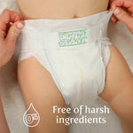 Earth & Eden Sensitive Baby Diapers, Size 7 (80 Count) - Eco-Conscious & Hypoallergenic Diapers - No Harsh Chemicals - Comfortable and Gentle on Skin - Dermatologically Approved