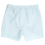RUGGEDBUTTS Boys UPF50+ Stretch Neon Swim Trunks - Blue Breeze Seersucker, 3-6m