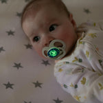 Dr. Brown's Advantage Glow-in-the-Dark Baby Pacifier, Fully Symmetrical Soother with Soft Silicone Bulb, Scooter Squirrel-Purple Nature, 6-18m, BPA Free, 4 Pack
