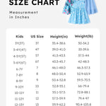PATPAT 3 Pack Toddler Girls Ruffle Sleeve A-line Dresses Baby Girl Casual Clothes Multi-Pack Sundress, Blue Floral, 3 Years