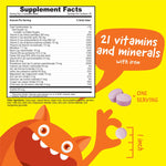 VitaWorks Kids Multivitamin with Iron & Minerals Chewable Tablets - Mixed Fruit Flavor - Vegetarian, GMO-Free, Nut Free - Dietary Supplement - Digestive Support for Children - 120 Chewables",