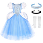 TYHTYM Cinderella Costumes Girl Dress Up Puffy Sleeves Pageant Party Halloween Fancy Ball Gown (2-3T, Blue)