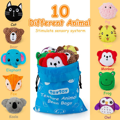 teytoy Sensory Bean Bag for Kids 10 Pack,Texture Sensory Beanbags,Sensory Toys for Autism,Animal Sensory Fine Motor Toys with Storage Bag for Boys and Girls