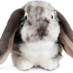 Living Nature Grey Dutch Lop Eared Rabbit Stuffed Animal | Fluffy Rabbit Animal | Soft Toy for Kids | 10 inches