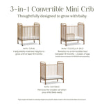Namesake Abigail 3-in-1 Portable Baby Crib with Wheels - GREENGUARD Gold Certified Convertible Crib to Toddler Bed & Daybed - Metal Baby Bed w/ 4 Adjustable Mattress Heights, for Small Spaces - Gold