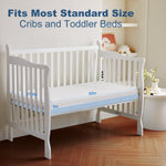 ASANEST Premium Dual Sided Crib Mattress & Protector(1-Pack),Toddler Bed Mattress,5" Thick Firm Soft Crib Mattress,Cooling Washable Knitted Fabric,52 x 28 x 5 inches