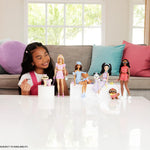 Barbie Twinning Looks Doll with Pet Dog in Matching Pink Gingham Clothes and Accessories for Both Like Sunglasses, Necklaces and Bows, Blonde