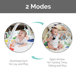 Baby Play Gym with Activity Mat, Toys, and Arches, 0-6 Months