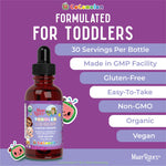 MARYRUTH'S Cocomelon Toddler Elderberry Syrup, USDA Organic Elderberry, Sugar Free Kids Immune Support Supplement for Ages 1-3 Years, Clean Label Project Verified®, Vegan, Gluten Free, 1 Fl Oz