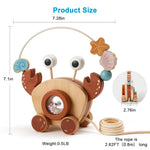 Pull-Along Walking Toys for Babies 12 Months +,4 in 1 Push and Pull Toy for Toddlers Aged 1-2 and 3-4 Years Old, Wooden Baby Toys, Montessori Early Development Sensory Toy