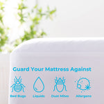 Linenspa Zippered Mattress Encasement - Waterproof & Bed Bug Proof - Premium Noiseless & Absorbent Cover – Full, White