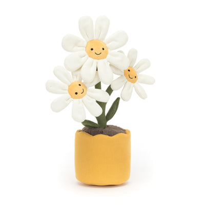 Toy daisies in a pot with smiling faces on a white background