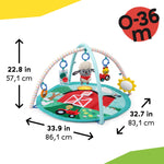 Ingenuity Baby Einstein Farm Explorers Happy Harvest Touch & Feel Baby Play Gym & Mat with 5 Removable Toys, 20+ Songs & Sounds, Ages 0+ Months