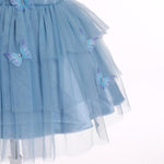 IMEKIS Butterfly Dress for Girls: 2nd 3rd Birthday Outfit Cake Smash Kids Princess Formal Toddler Easter Dress Baby Flower Tutu Tulle Tea Party Graduation Wedding Dusty Blue Butterfly 2-3T