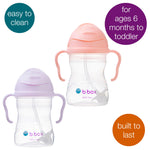 b.box Sippy Cup with Weighted Straw (2-pack). Drink from any Angle, Leak Proof, Spill Proof, Easy Grip. BPA Free, Dishwasher Safe. For Babies 6m+ to Toddlers (tutti frutti + boysenberry, 8oz)