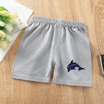Vagefun Toddler Baby Boy Shorts Cotton Dinosaur Summer Clothes for Kids 6M-5T