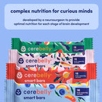 Cerebelly Organic Toddler Snack Bars, Sweet Potato Blueberry Banana Smart Bars, 16 Brain-Supporting Nutrients, No Added Sugar, Gluten Free, Nut Free, Kids Snacks, 30 Pack