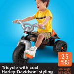Fisher-Price Harley-Davidson Toddler Tricycle Tough Trike Toy Bike with Handlebar Grips & Storage for Preschool Kids Ages 2+ Years (Amazon Exclusive)