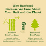 Caboo Mint Flushable Wipes, Certified Flushable, Septic Safe, Chemical Free, Biodegradable Wipes for Adults made with Renewable Bamboo Based Viscose (Pack of 3, Total of 180)