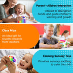 2 PCS Color Sorting Sensory Toys for Toddlers: Quiet Calming Travel Roadtrip Toys for Kids - Color Matching Game for Preschool Learning Activities - Classroom Prizes Toddlers Travel Essentials