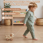 WoodenEdu Baby Toys Car,Wooden Pull Along Toddler Toy, Developmental Toy for 1 Year Old Girl Boy Birthday Gift (Cute Dog)