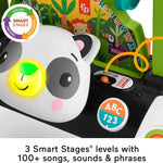 Fisher-Price Baby & Toddler Toy 2-Sided Steady Speed Panda Walker with Smart Stages Learning & Blocks for Ages 6+ Months