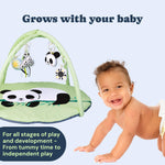 Todale Baby Play Gym with Toys - Baby Activity Mat, Tummy Time Panda Mat, Baby Activity Center, Infant, Newborn Floor Playmats, Mobile & Convertible Tummytime Baby Gym, Boys & Girls Gifts, 0-36 Months