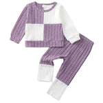 2T 3T Girl Clothes Long Sleeve Purple Shirts Knit Pants Soft Leggings Little Girl 2 Piece Cute Outfit Toddler Fall Winter Clothes