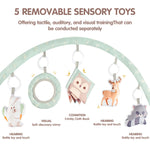 AIBOMUDA Baby Gym Play Mat,Baby Activity Play Mat & & Ball Pit,Washable Tummy Time Mat with 5 Sensory Baby Toys,Boy & Girl Gifts for Inflant Baby 0 3 6 9 13 Months