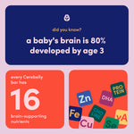 Cerebelly Organic Toddler Smart Bars 40-Count, Carrot Date Smart Bars, 16 Brain-Supporting Nutrients, No Added Sugar, Gluten Free, Nut Free, Kids Snacks