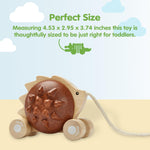 PlanToys Pull Along Hedgehog – Brown (5274)