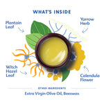 Motherlove Mom's Bottom Balm (1 oz) Organic Herbal Salve w/Witch Hazel for Bottoms During Pregnancy & Postpartum —Non-GMO Ointment