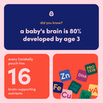 Cerebelly Organic Baby Food Pouches, Sweet Potato Peach Dairy-Free Smoothies, 16 Nutrients, No Added Sugar, Fiber & Non-GMO, 4oz, 1 Count
