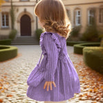 3T 4T Girl Clothes Toddler Girl Dress Long Sleeve Round Neck Solid Color Baby Clothes Fall Winter Toddler Outfit Purple Casual Flare Dresses for Kids