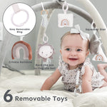 5-in-1 Thick & Plush Baby Play Gym, Baby Play Mats for Floor, Tummy Time Mat with 6 Toys, Cat Bed, Dog Bed, Convertible Stage-Based Developmental from Baby to Toddler, Ball Pit, Pet Cushion Cloudico