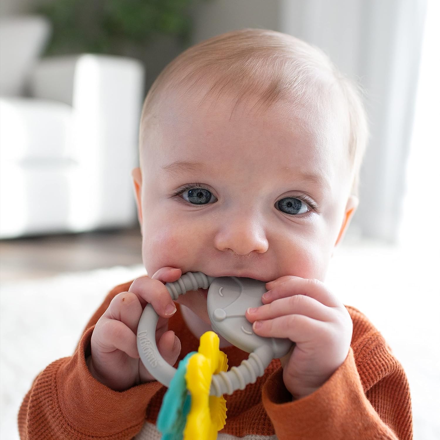 Dr. Brown's Learning Loop Silicone Ring Teether, Fox - Teethers - Dr ...