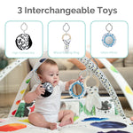 Baby Play Gym with Activity Mat, Toys, and Arches, 0-6 Months